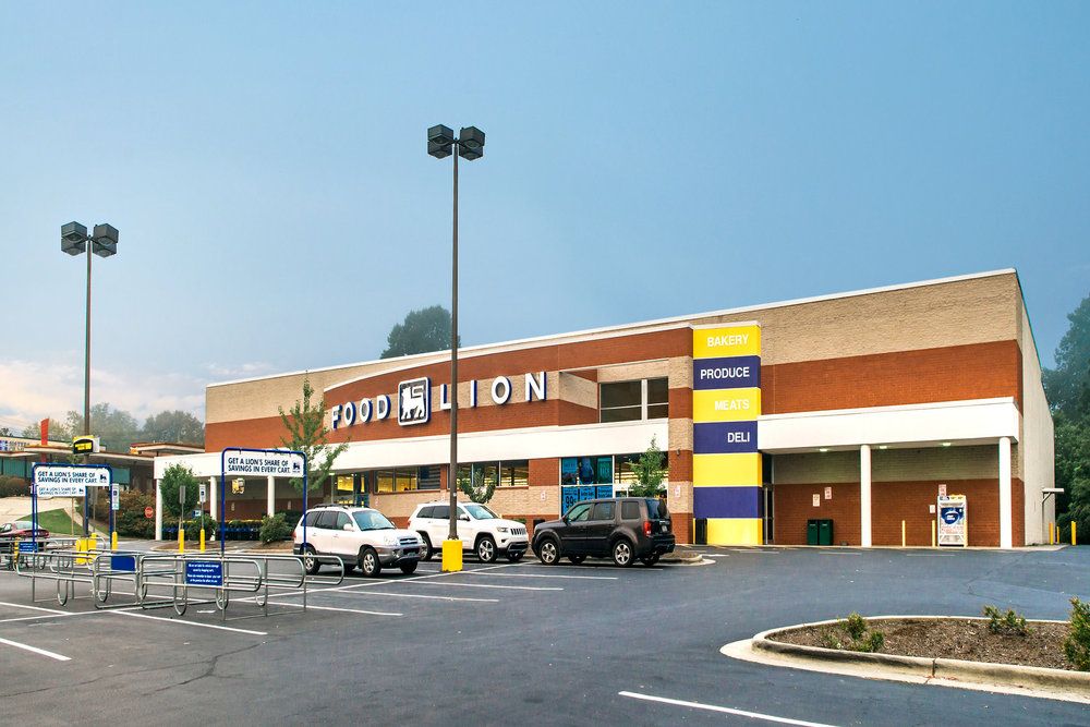 COLLEGE STATION SHOPPING CENTER: 100 College Station Dr, Brevard, NC 28712